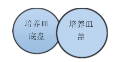 沉降菌測試 沉降菌測試